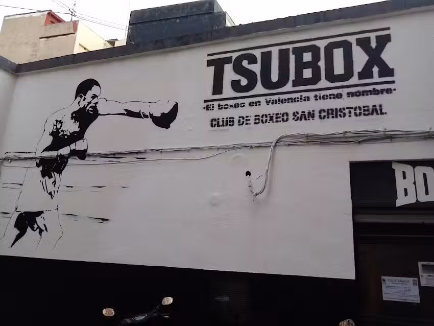TSUBOXTEAM (Club Boxeo San Crist&oacute;bal)
