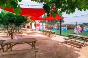 Urban Adventure Valencia