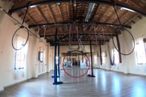 Vertical Vic – Escola de Circ, Poledance i Arts aèries.