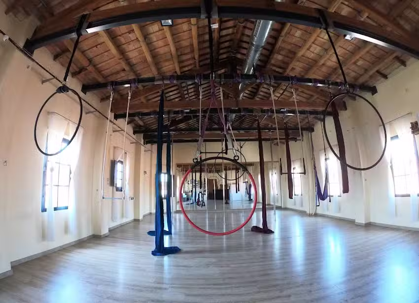 Vertical Vic – Escola de Circ, Poledance i Arts aèries.