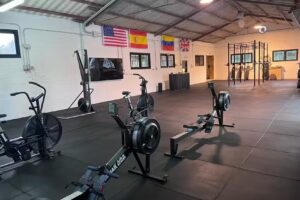 Vi Functional Training