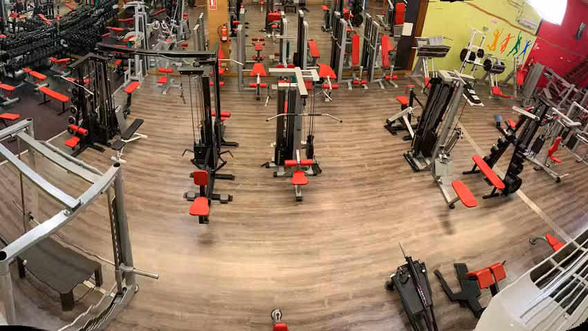 Vicente Santamar&iacute;a Gym