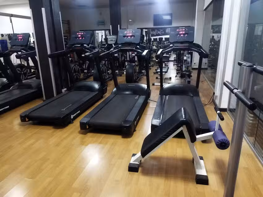 Viking brothers gym