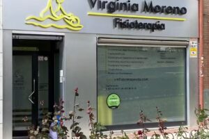 Virginia Moreno Fisioterapia