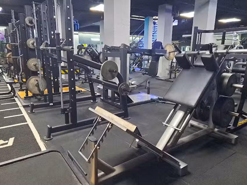 Vital Fit a life style