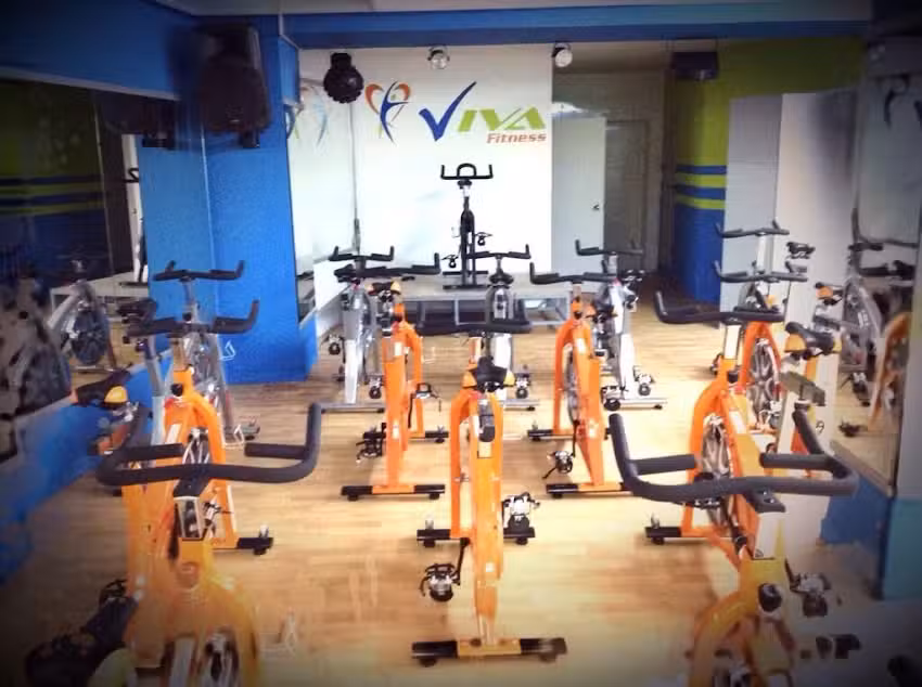 VIVA FITNESS