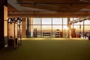 We/On Palacio de Hielo