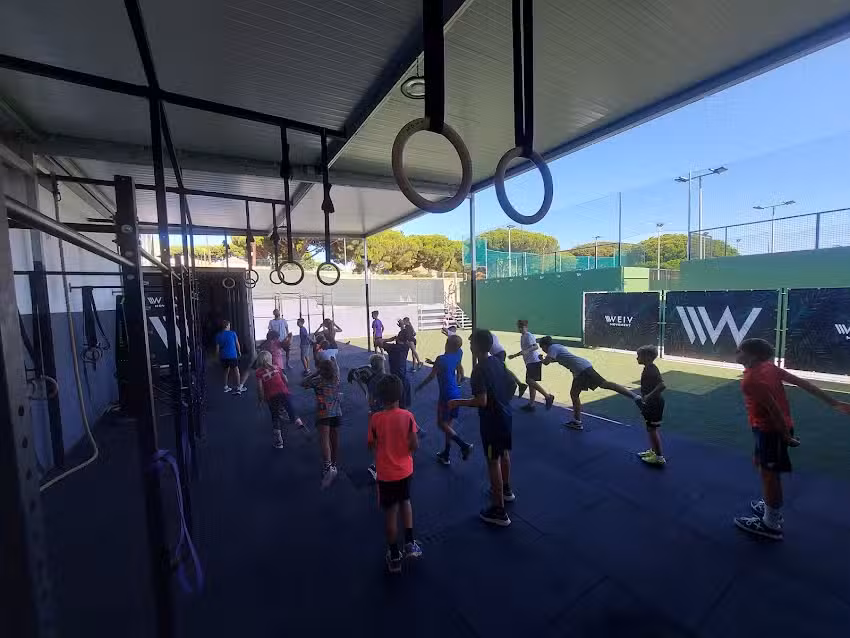 Weiv Movement