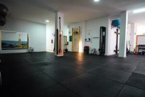 Wellness Studio Entrenamiento y Fisioterapia
