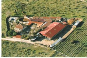 Yeguada Las Perdices – Centro de Equitacion