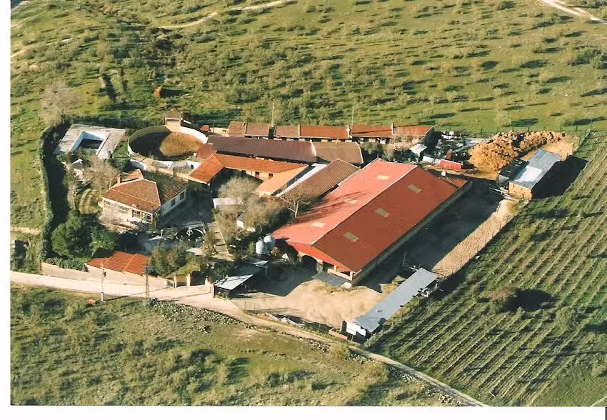 Yeguada Las Perdices – Centro de Equitacion