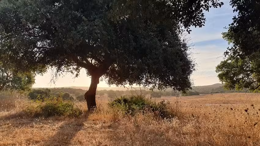 Yoga con Mar&iacute;a | Sotogrande