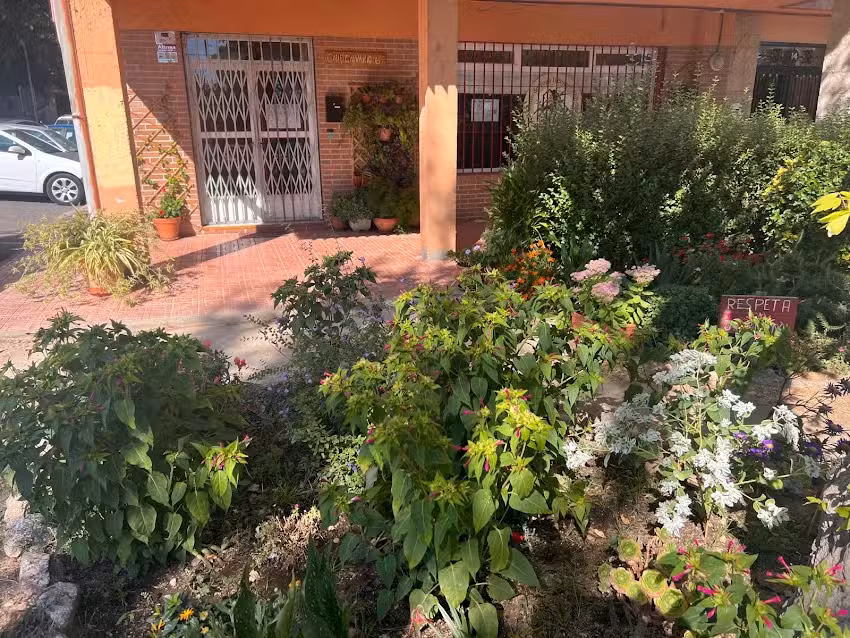 Yoga Iyengar Abhyasa