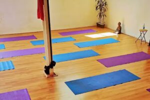 Yoga Ollan Academy In-liNe – Centro de Yoga En Línea