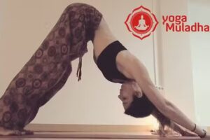 YOU – Yoga Muladhara – Centro de Yoga en Almería