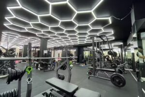 Z Gym Diaz
