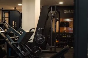 Zeus – More Than Just Training