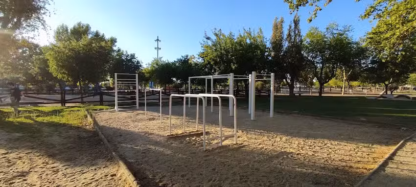 Zona de Calistenia Jon Jones