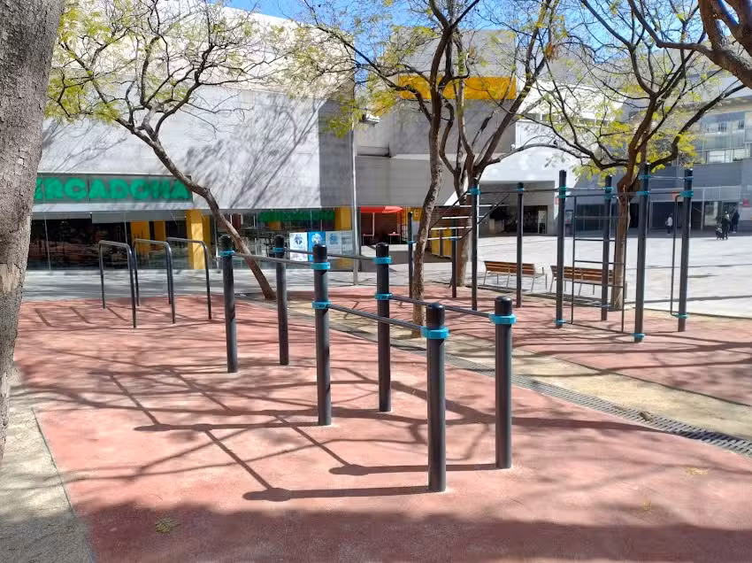 Zona de juegos de calistenia